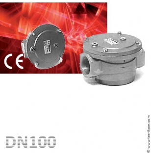 Фильтр газовый 6 бар, DN100