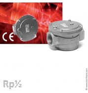 Фильтр газовый 6 бар, Rp ½"